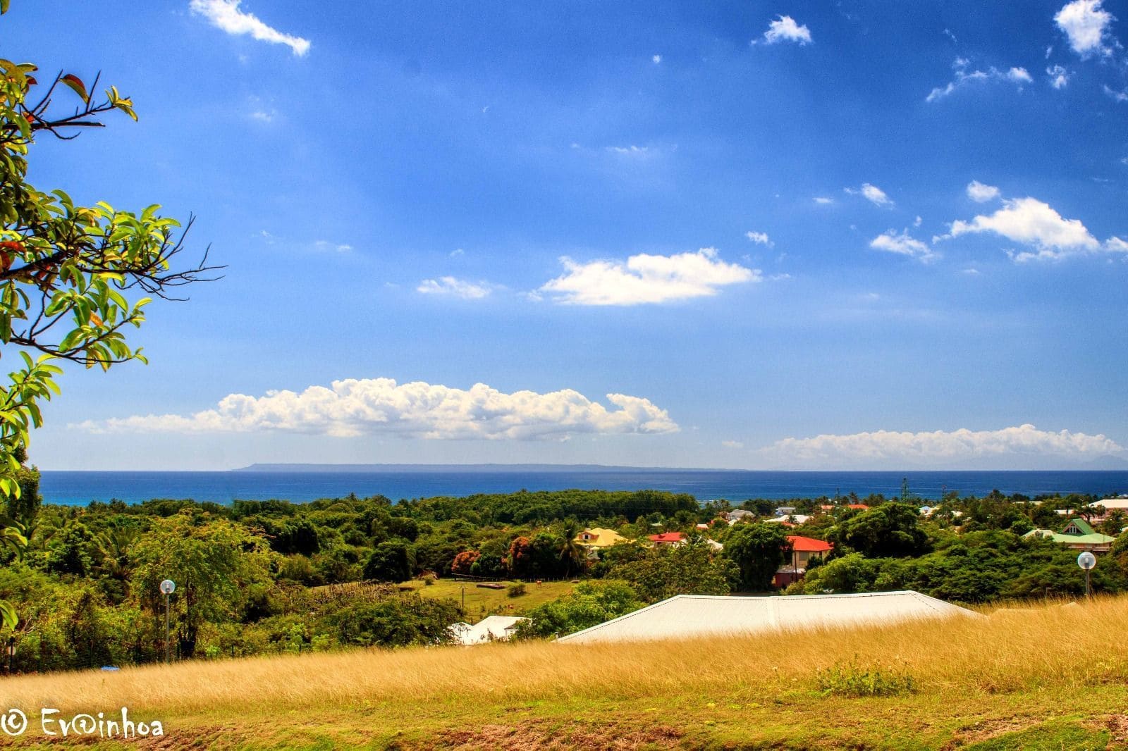Nature à Sainte-ANne en Guadeloupe